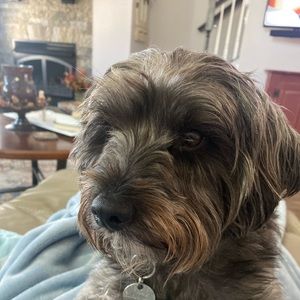 Meet your Posher, Ann